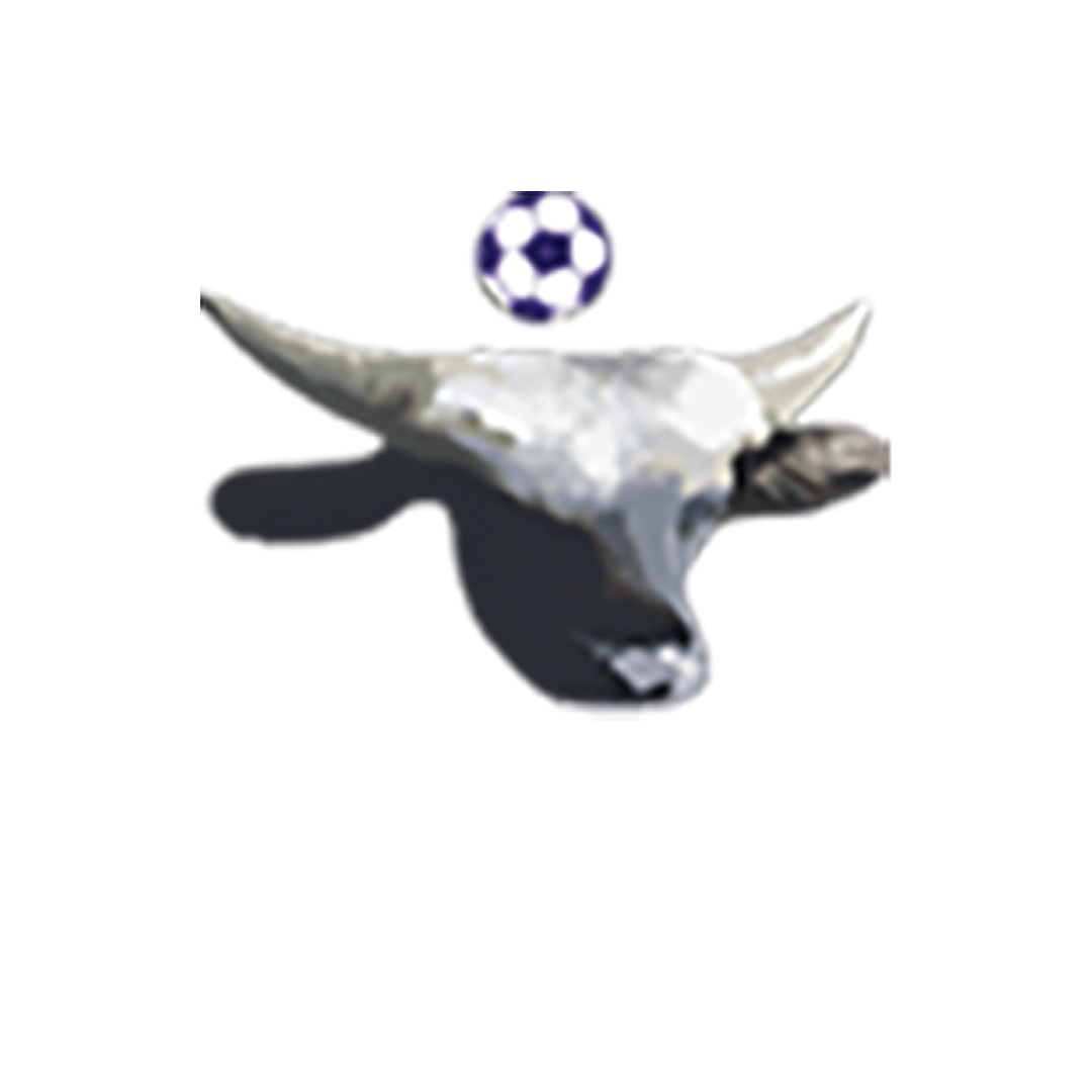 Sponsor 6